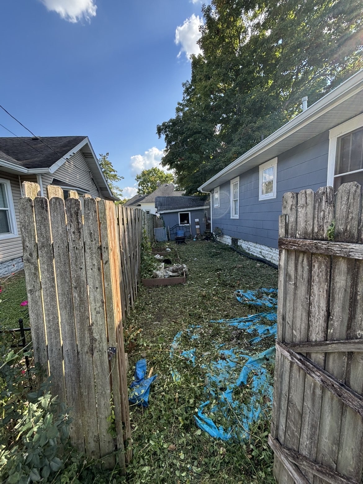Cleared yard after brush removal