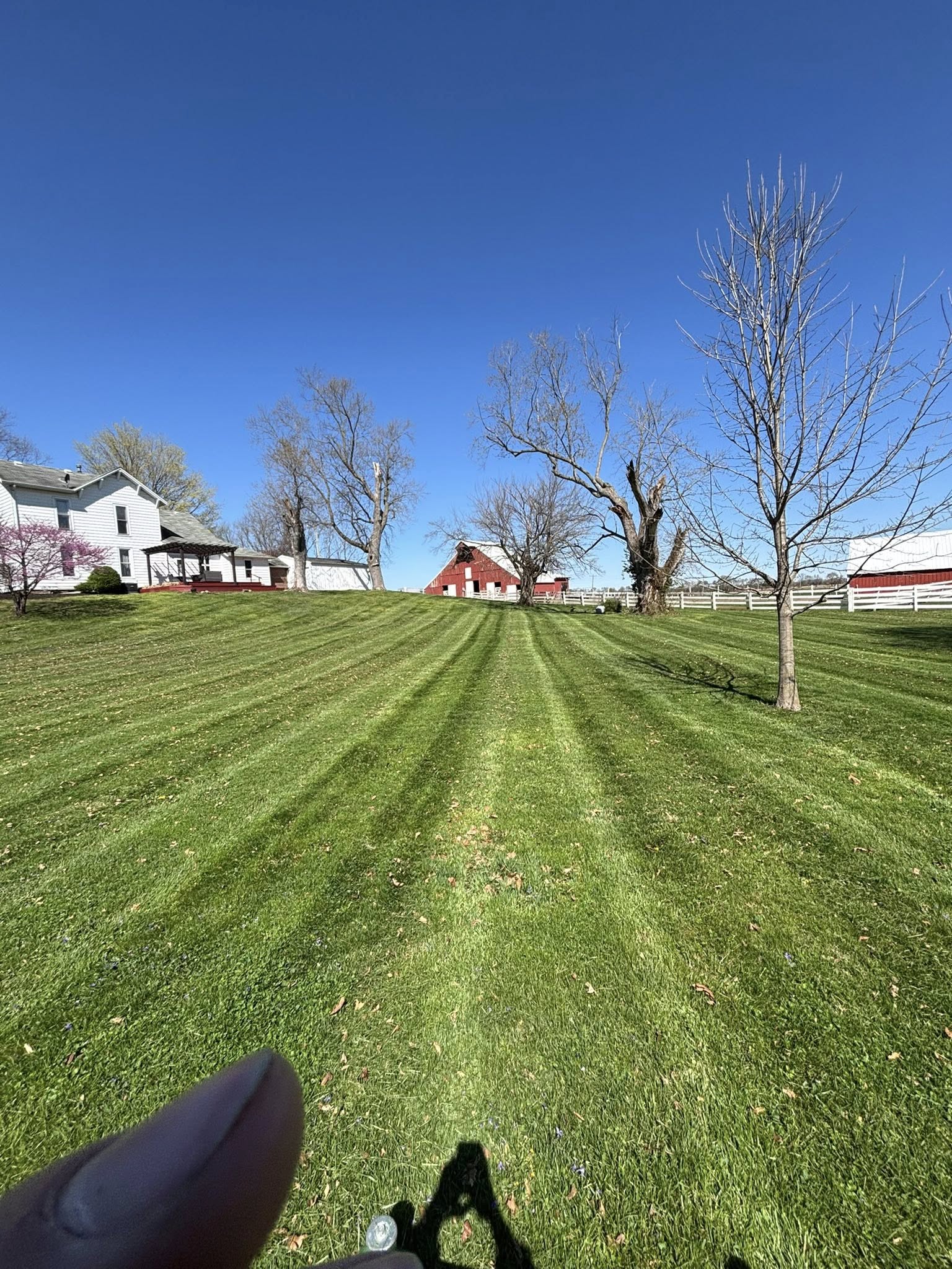 Landscaping Project 6